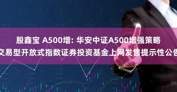 股鑫宝 A500增: 华安中证A500增强策略交易型开放式指数证券投资基金上网发售提示性公告