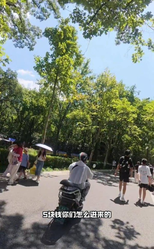 永信策略 游客称南京钟山核心景区白天禁入电动车，却有拉客车穿梭，景区回应